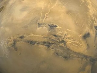 В ИКИ РАН доказали, что микроорганизмы способны выжить в атмосфере Венеры и на поверхности Марса