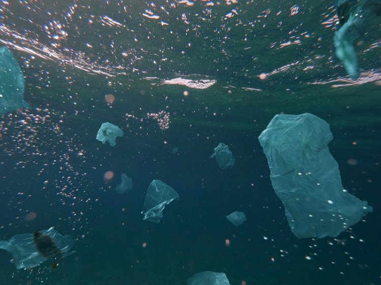 В Средиземном море плавает более 3500 тонн пластика 