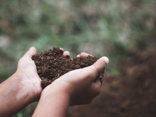 Минералы спасут почву от пестицидов и прочей вредности