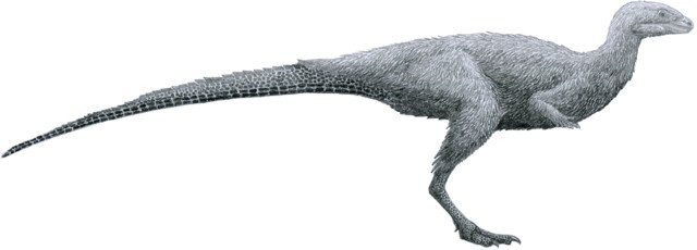 Динозавры жили по правилам примитивного социума