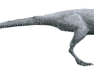 Динозавры жили по правилам примитивного социума