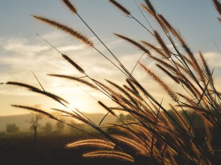 Источник фото: ru.123rf.com