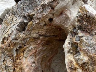 Фото: Дмитрий Григорьев