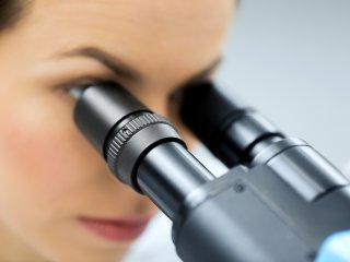 Фото: dolgachov / 123RF