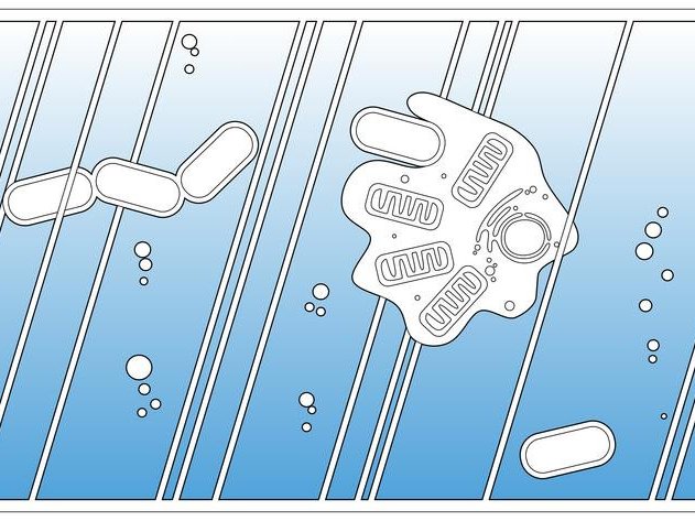 Команда предложила новый, основанный на фактических данных сценарий возникновения сложной жизни. Фото: Dr Christopher Kay / University of Bristol