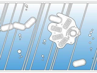 Команда предложила новый, основанный на фактических данных сценарий возникновения сложной жизни. Фото: Dr Christopher Kay / University of Bristol