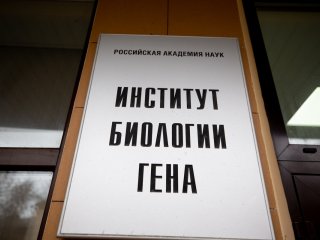 Фото: Ольга Мерзлякова / «Научная Россия»