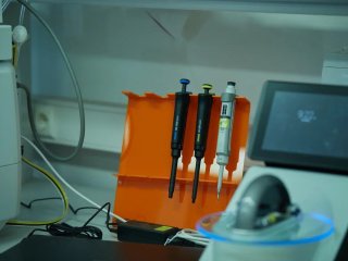 Фото Елены Либрик