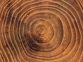 Изображение: Фотобанк Freepik