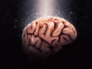 Изображение: Фотобанк Freepik