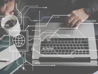 Источник фото: rawpixel / ru.123rf.com