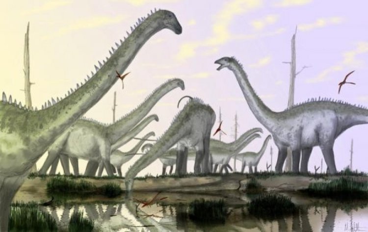 «Кладбище» динозавров создали водоросли-убийцы