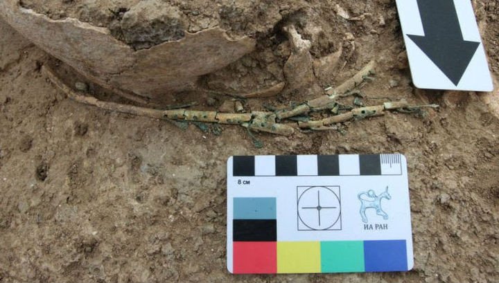 Арфа-тригон: костяная основа с бронзовыми колками. Фото: ИА РАН