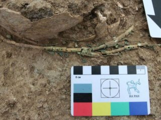 Арфа-тригон: костяная основа с бронзовыми колками. Фото: ИА РАН