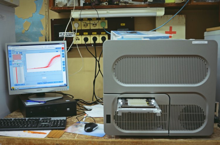 Фото: Алёна Литвиненко