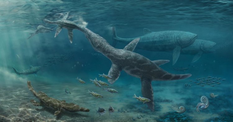 Ископаемые зубы показывают, как морские рептилии юрского периода адаптировались к изменениям уровня моря