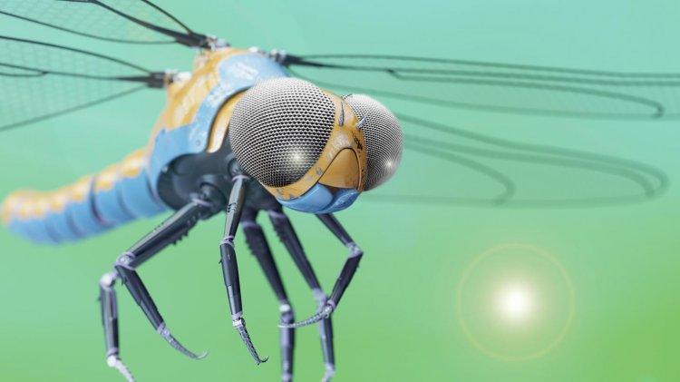 Китайские ученые создали искусственную копию глаза насекомого