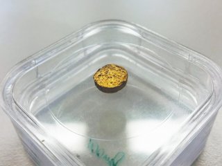 Ученые создали легкое золото, добавив в сплав пластик