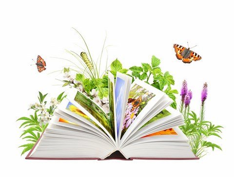 12 мая — День экологического образования