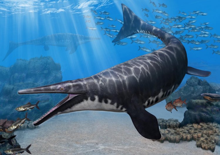 Палеонтологи определили новые виды мозазавров