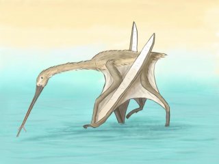 У нового вида птерозавров был тонкий клюв и не было зубов