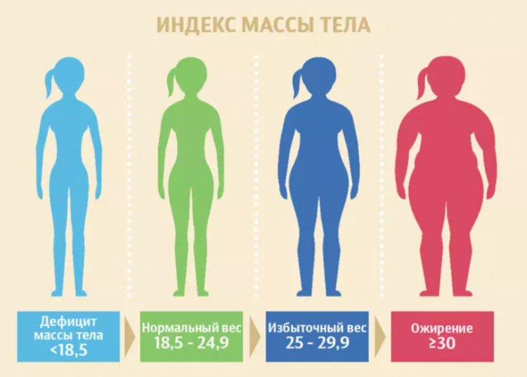 Иллюстрация показателей индекса массы тела. Чтобы рассчитать индекс массы тела, необходимо показатель массы тела в килограммах разделить на показатель роста в метрах, возведенный в квадрат. Например, если вес человека 85 кг, а рост — 164 см, то ИМТ = 86: (1,64 *1,64) = 31, 6. Источник иллюстрации: РИА Новости