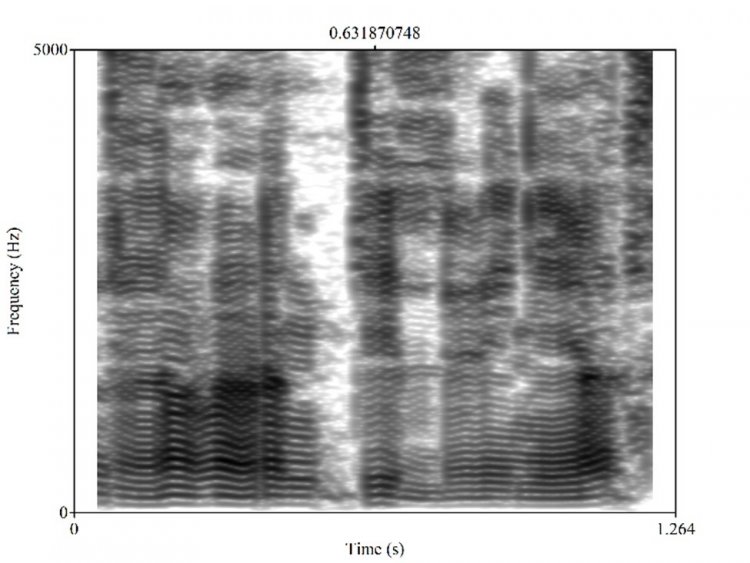 Спектрограмма результирующего звука