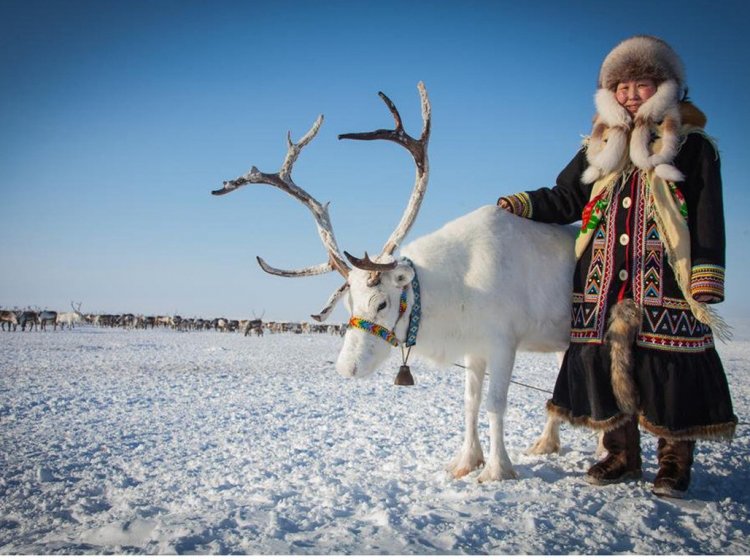 Коренные народы Арктики