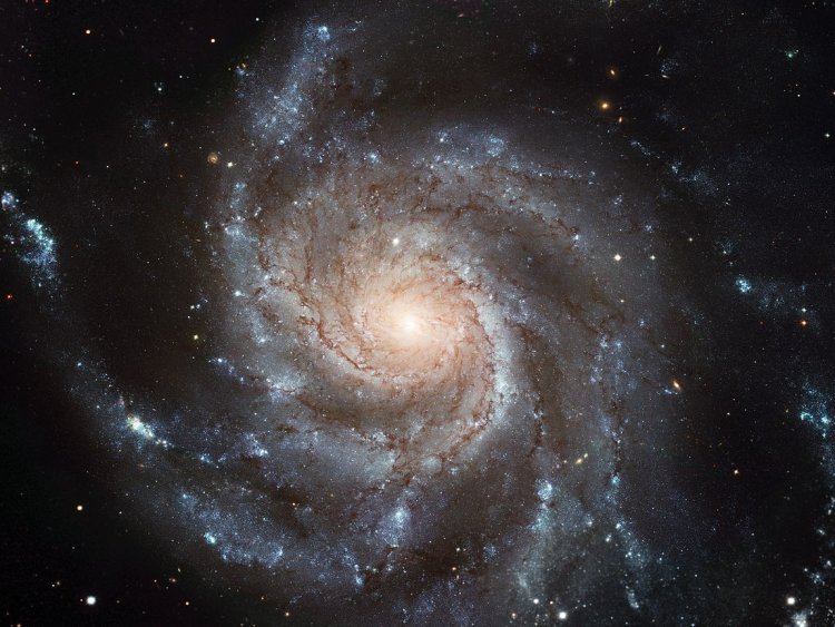 Галактика Вертушка. Источник: Wikipedia / European Space Agency & NASA
