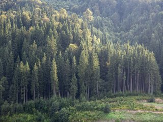 Фото: pvproductions / Freepik