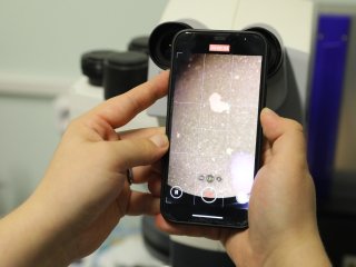 Живые реликты, механика памяти и эволюция нервной системы. Студенческий тур в ИВНД и НФ РАН. Фото: Николай Малахин / «Научная Россия»