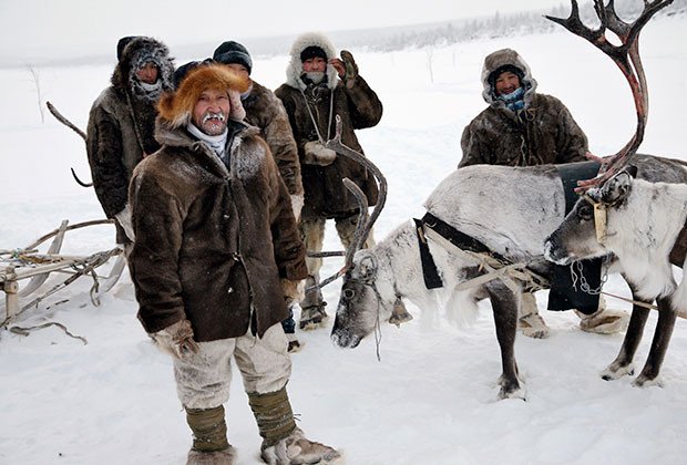 Фото: Дмитрий Салтыковский / «Коммерсантъ»
