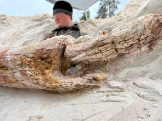 Фото: Дмитрий Григорьев