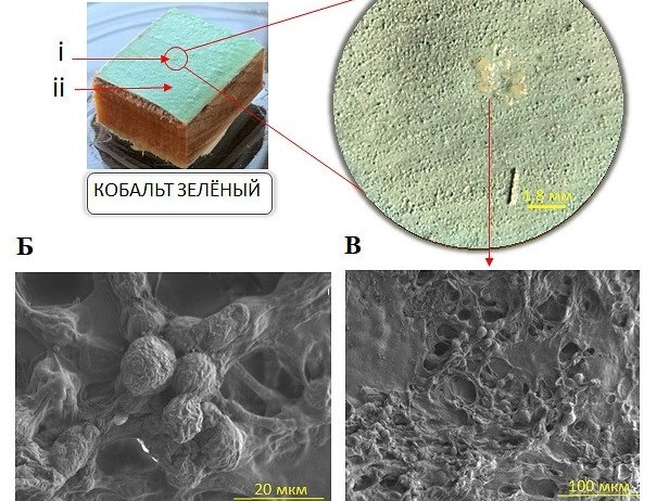 Разрушающий эффект.  Источник - ФИЦ Биотехнологии РАН