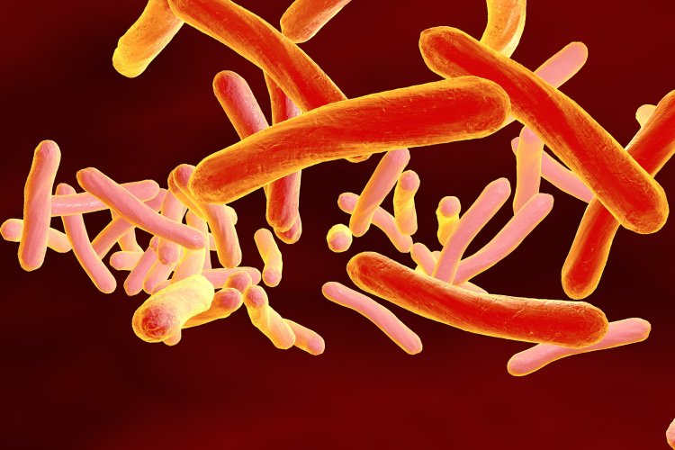 Фото: drmicrobe / 123RF