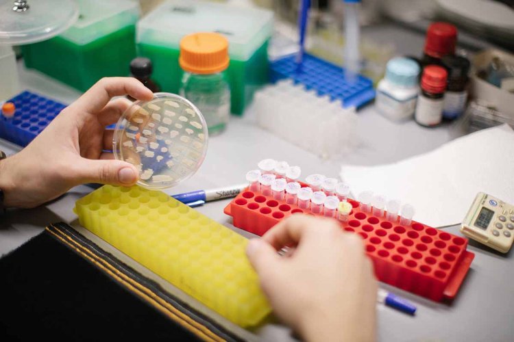 Источник фото: ФИЦ Биотехнологии РАН