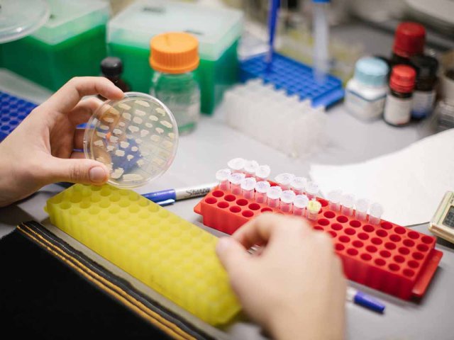 Источник фото: ФИЦ Биотехнологии РАН