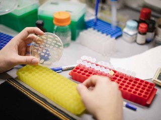 Источник фото: ФИЦ Биотехнологии РАН