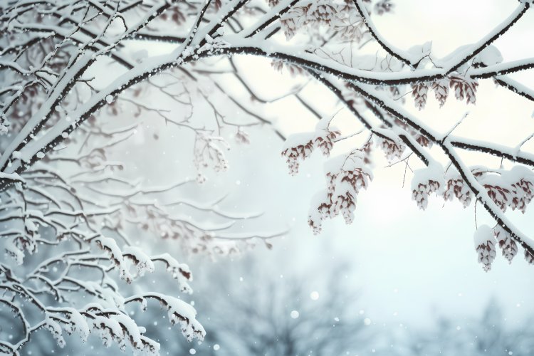 Источник фото: virtosmedia / ru.123rf.com