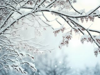 Источник фото: virtosmedia / ru.123rf.com