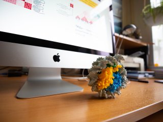 Фото: Ольга Мерзлякова / «Научная Россия»