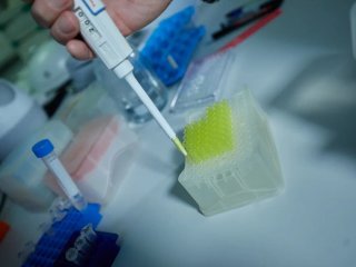 Фото Елены Либрик