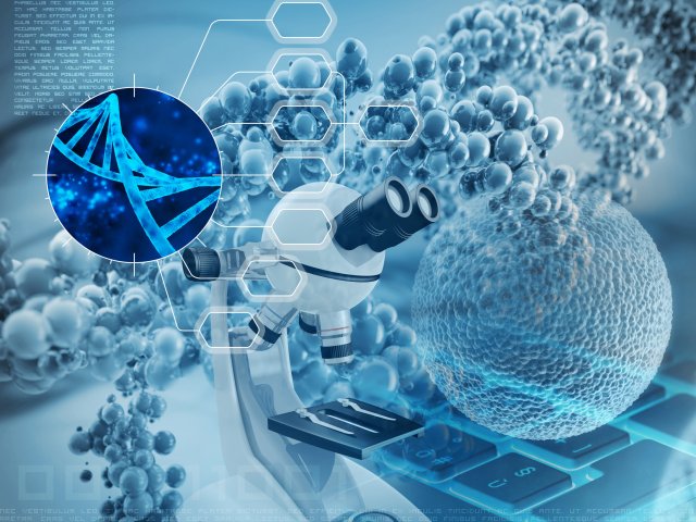 Источник фото: ru.123rf.com