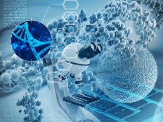 Источник фото: ru.123rf.com