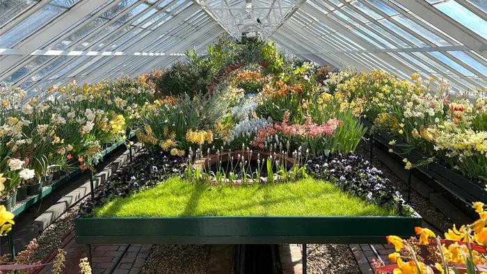 Профессор CSHL и исследователь HHMI Закари Липпман говорит, что ботанические сады и оранжереи, подобные этой в колледже Маунт-Холиок, имеют решающее значение для сохранения диких видов растений. Фото: Zachary Lippman/CSHL