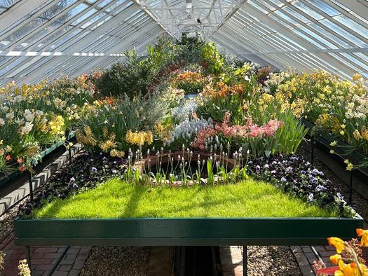 Профессор CSHL и исследователь HHMI Закари Липпман говорит, что ботанические сады и оранжереи, подобные этой в колледже Маунт-Холиок, имеют решающее значение для сохранения диких видов растений. Фото: Zachary Lippman/CSHL