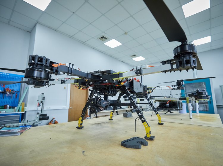 Фото: Елена Либрик / Научная Россия