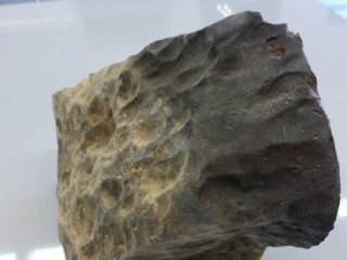 По сообщению представителей экспедиции, метеорит найден в районе Ноёна. Фото: архив метеоритной экспедиции УрФУ