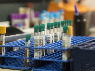 Изображение: Фотобанк Freepik