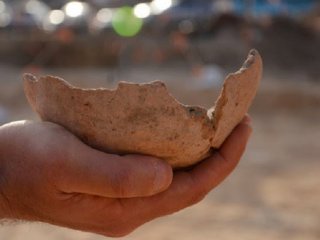 Пиво из Египта нашли в Израиле